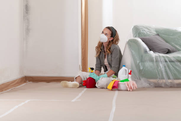 Reliable Mold Remediation contractor in Little Silver, NJ by WQB Mold Removal